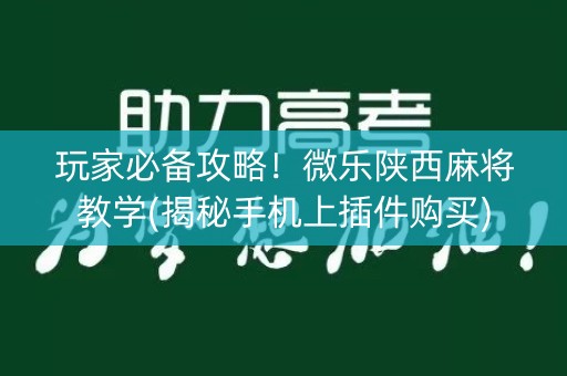 玩家必备攻略！微乐陕西麻将教学(揭秘手机上插件购买)