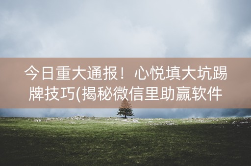 今日重大通报！心悦填大坑踢牌技巧(揭秘微信里助赢软件)