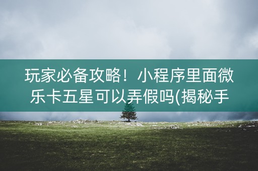 玩家必备攻略！小程序里面微乐卡五星可以弄假吗(揭秘手机上怎么容易赢)