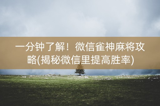 一分钟了解！微信雀神麻将攻略(揭秘微信里提高胜率)