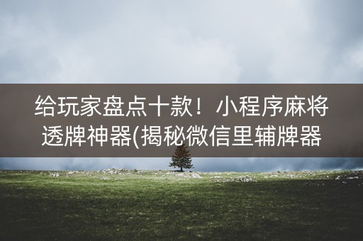 给玩家盘点十款！小程序麻将透牌神器(揭秘微信里辅牌器)