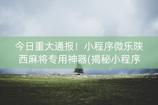 今日重大通报！小程序微乐陕西麻将专用神器(揭秘小程序确实有猫腻)