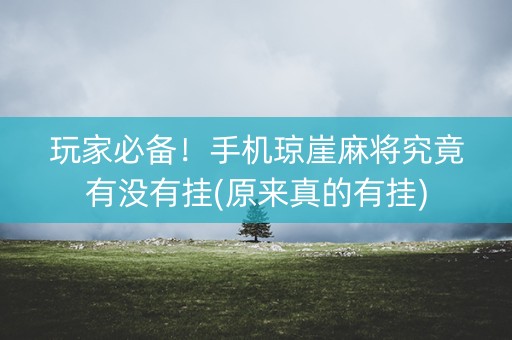 玩家必备！手机琼崖麻将究竟有没有挂(原来真的有挂)