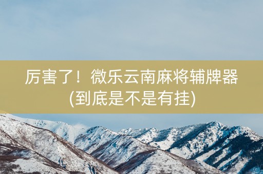 厉害了！微乐云南麻将辅牌器(到底是不是有挂)