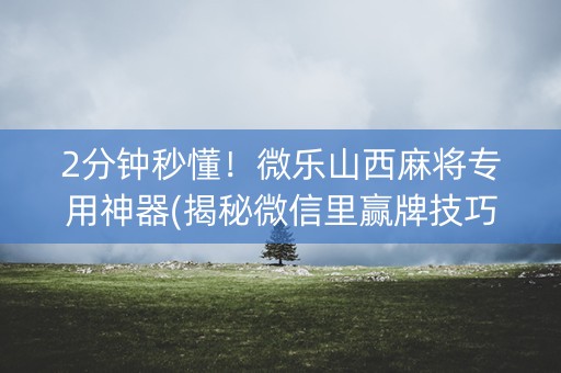 2分钟秒懂！微乐山西麻将专用神器(揭秘微信里赢牌技巧)