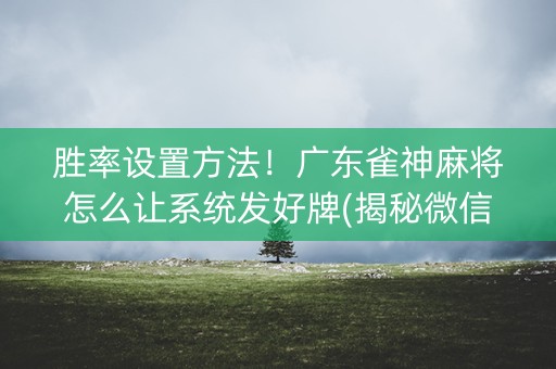 胜率设置方法！广东雀神麻将怎么让系统发好牌(揭秘微信里助赢神器)