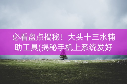 必看盘点揭秘！大头十三水辅助工具(揭秘手机上系统发好牌)