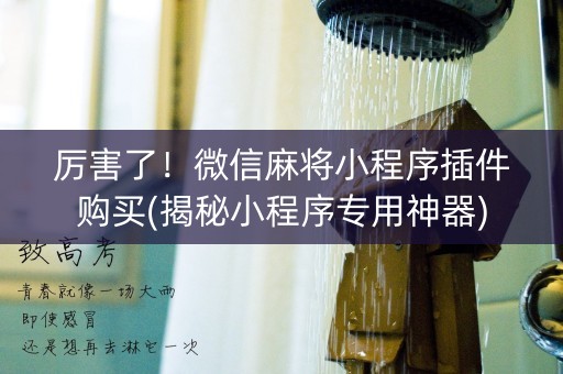 厉害了！微信麻将小程序插件购买(揭秘小程序专用神器)