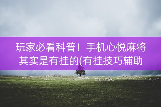 玩家必看科普！手机心悦麻将其实是有挂的(有挂技巧辅助器)