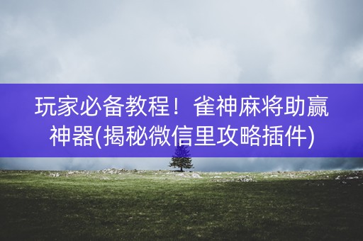 玩家必备教程！雀神麻将助赢神器(揭秘微信里攻略插件)