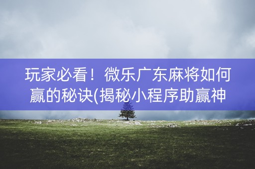 玩家必看！微乐广东麻将如何赢的秘诀(揭秘小程序助赢神器)