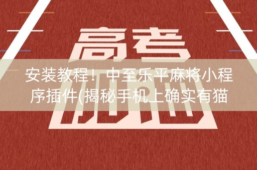 安装教程！中至乐平麻将小程序插件(揭秘手机上确实有猫腻)