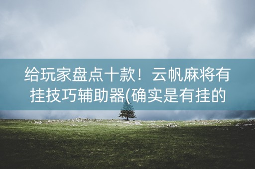 给玩家盘点十款！云帆麻将有挂技巧辅助器(确实是有挂的)