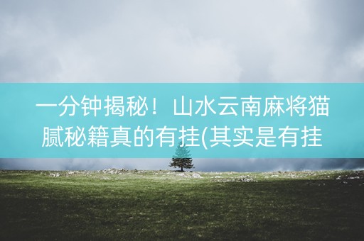 一分钟揭秘！山水云南麻将猫腻秘籍真的有挂(其实是有挂确实有挂)