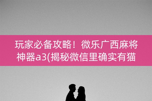 玩家必备攻略！微乐广西麻将神器a3(揭秘微信里确实有猫腻)