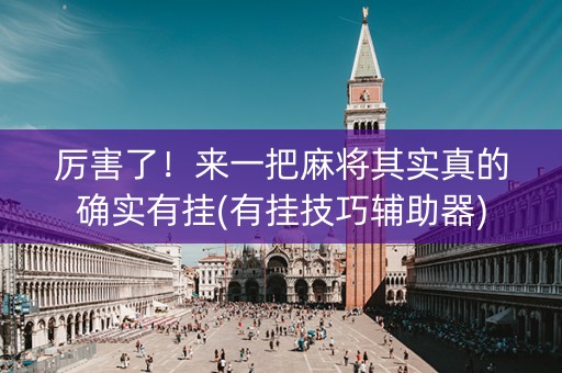 厉害了！来一把麻将其实真的确实有挂(有挂技巧辅助器)