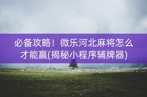 必备攻略！微乐河北麻将怎么才能赢(揭秘小程序辅牌器)