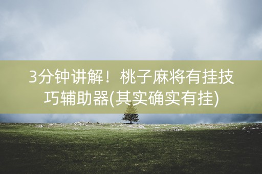 3分钟讲解！桃子麻将有挂技巧辅助器(其实确实有挂)