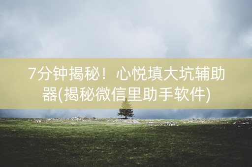 7分钟揭秘！心悦填大坑辅助器(揭秘微信里助手软件)
