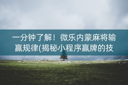 一分钟了解！微乐内蒙麻将输赢规律(揭秘小程序赢牌的技巧)
