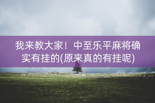 我来教大家！中至乐平麻将确实有挂的(原来真的有挂呢)