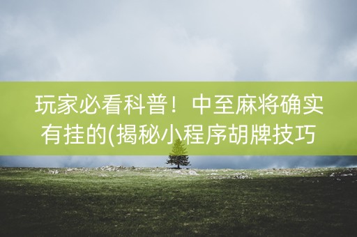 玩家必看科普！中至麻将确实有挂的(揭秘小程序胡牌技巧)