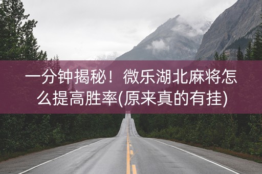 一分钟揭秘！微乐湖北麻将怎么提高胜率(原来真的有挂)