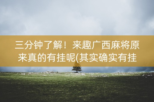 三分钟了解！来趣广西麻将原来真的有挂呢(其实确实有挂)