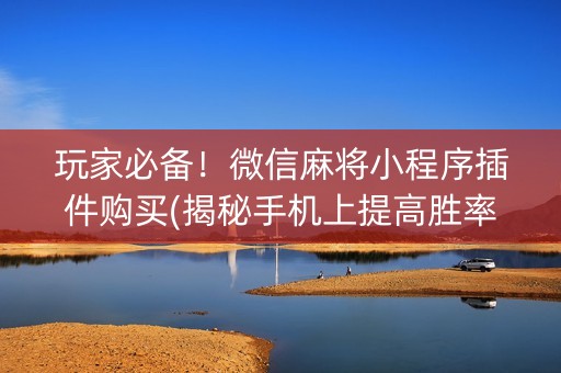 玩家必备！微信麻将小程序插件购买(揭秘手机上提高胜率)