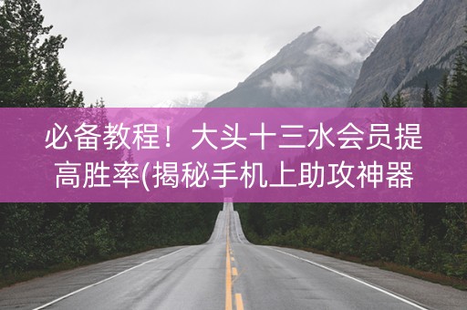 必备教程！大头十三水会员提高胜率(揭秘手机上助攻神器)