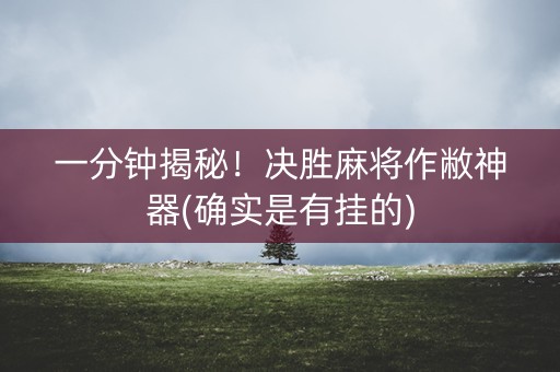 一分钟揭秘！决胜麻将作敝神器(确实是有挂的)