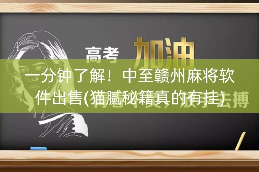 一分钟了解！中至赣州麻将软件出售(猫腻秘籍真的有挂)