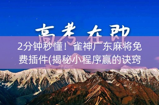2分钟秒懂！雀神广东麻将免费插件(揭秘小程序赢的诀窍)