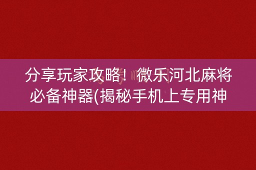 分享玩家攻略！微乐河北麻将必备神器(揭秘手机上专用神器)