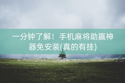 一分钟了解！手机麻将助赢神器免安装(真的有挂)