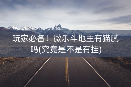 玩家必备！微乐斗地主有猫腻吗(究竟是不是有挂)