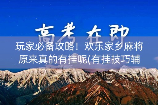 玩家必备攻略！欢乐家乡麻将原来真的有挂呢(有挂技巧辅助器)