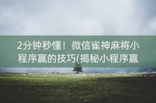 2分钟秒懂！微信雀神麻将小程序赢的技巧(揭秘小程序赢的诀窍)