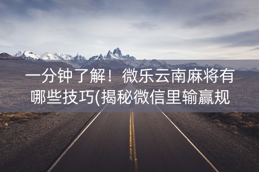 一分钟了解！微乐云南麻将有哪些技巧(揭秘微信里输赢规律)
