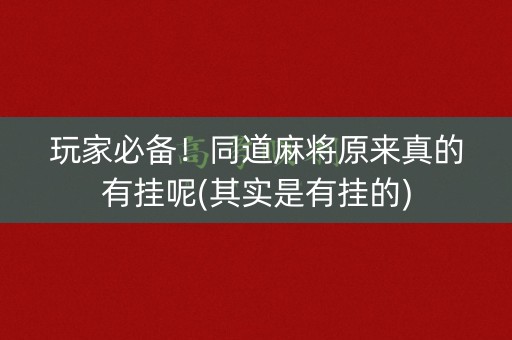 玩家必备！同道麻将原来真的有挂呢(其实是有挂的)