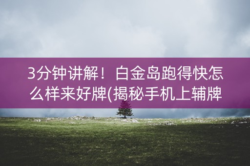 3分钟讲解！白金岛跑得快怎么样来好牌(揭秘手机上辅牌器)