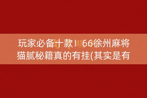 玩家必备十款！66徐州麻将猫腻秘籍真的有挂(其实是有挂确实有挂)