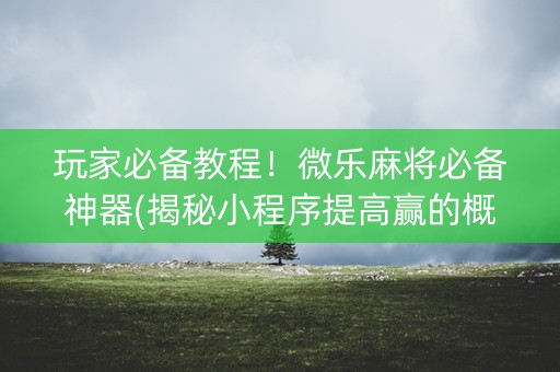 玩家必备教程！微乐麻将必备神器(揭秘小程序提高赢的概率)