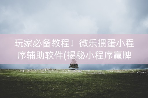 玩家必备教程！微乐掼蛋小程序辅助软件(揭秘小程序赢牌技巧)