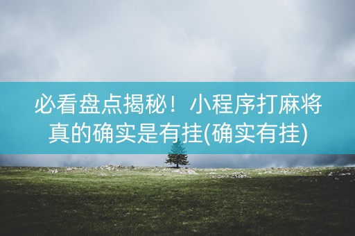 必看盘点揭秘！小程序打麻将真的确实是有挂(确实有挂)