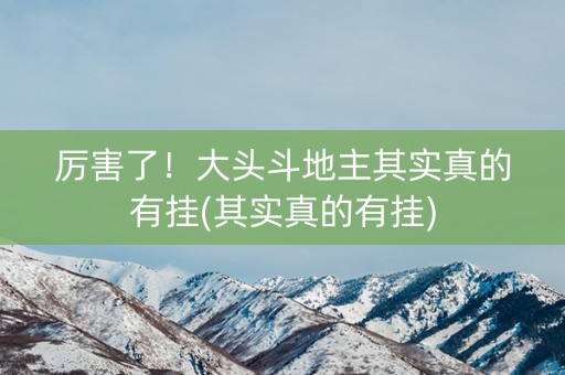 厉害了！大头斗地主其实真的有挂(其实真的有挂)