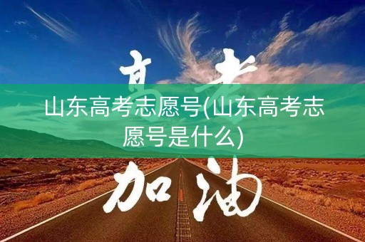 山东高考志愿号(山东高考志愿号是什么)