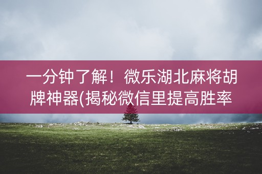 一分钟了解！微乐湖北麻将胡牌神器(揭秘微信里提高胜率)