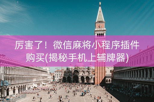 厉害了！微信麻将小程序插件购买(揭秘手机上辅牌器)