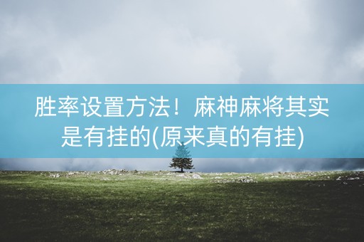 胜率设置方法！麻神麻将其实是有挂的(原来真的有挂)